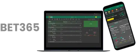 巴黎奥运刘,焕华夺冠,全锦赛举重,B体育,B体育app,B体育官网,B体育下载,B体育入口
