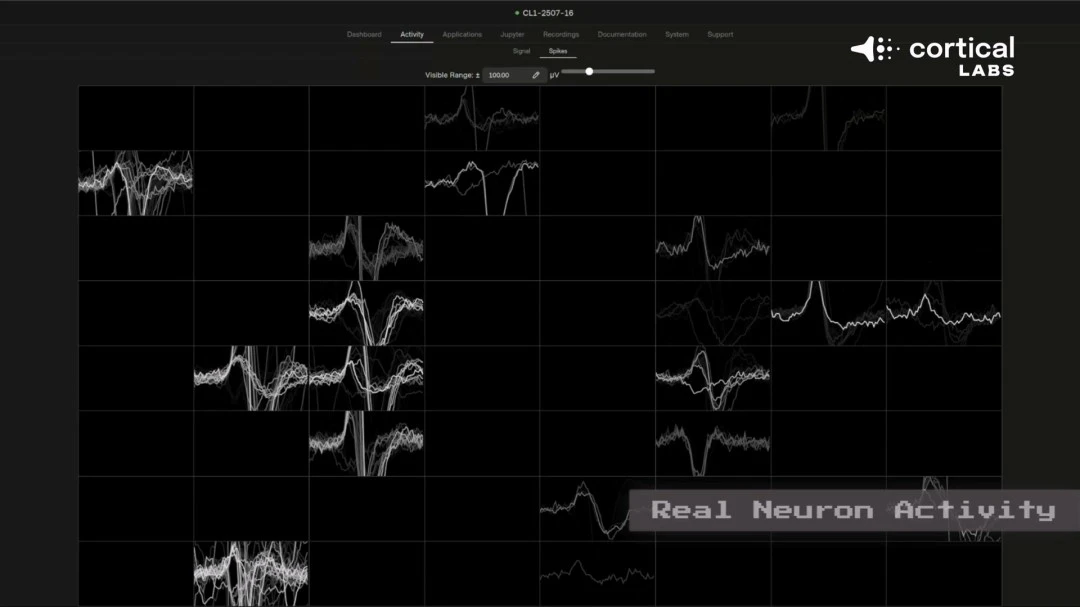 杨永修全国,人大代表,匠心铸就,B体育,B体育app,B体育官网,B体育下载,B体育入口